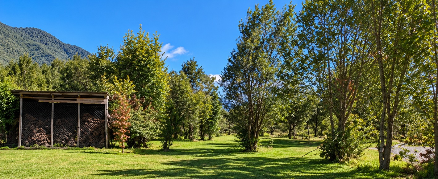 Jardines y árboles nativos del terreno con montañas de fondo